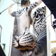 Illustration for article titled This Snow Leopard Has a Naked Lady On It